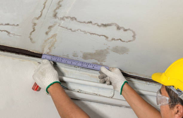 Reliable Structural Drying contractor in Osseo, MI by Water Damage Irwin